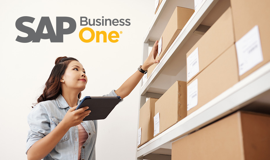 integrar o SAP Business One